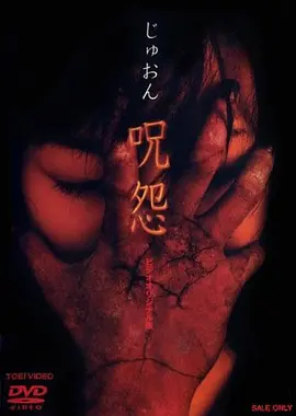 咒怨录像版【影视解说】